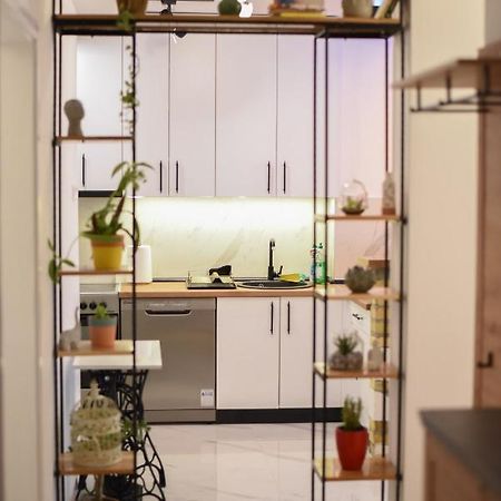 Garden Apartment - Oaza U Centru Grada Novi Sad Extérieur photo