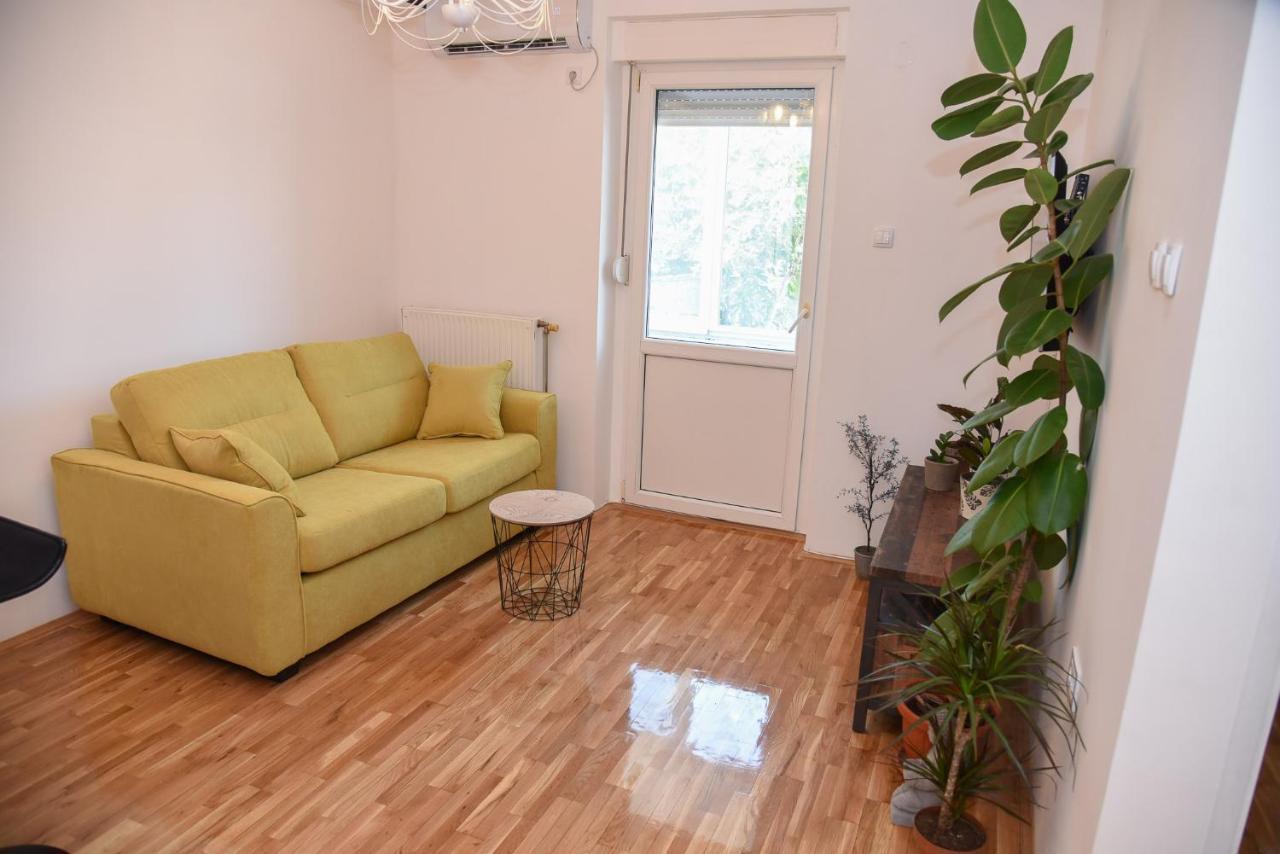 Garden Apartment - Oaza U Centru Grada Novi Sad Extérieur photo