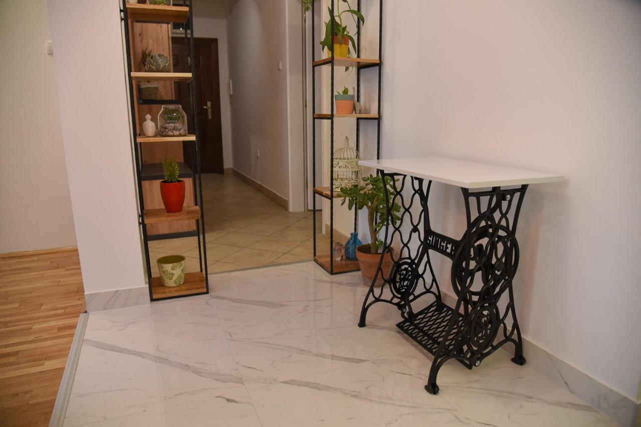 Garden Apartment - Oaza U Centru Grada Novi Sad Extérieur photo