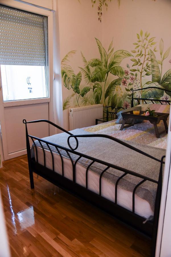 Garden Apartment - Oaza U Centru Grada Novi Sad Extérieur photo