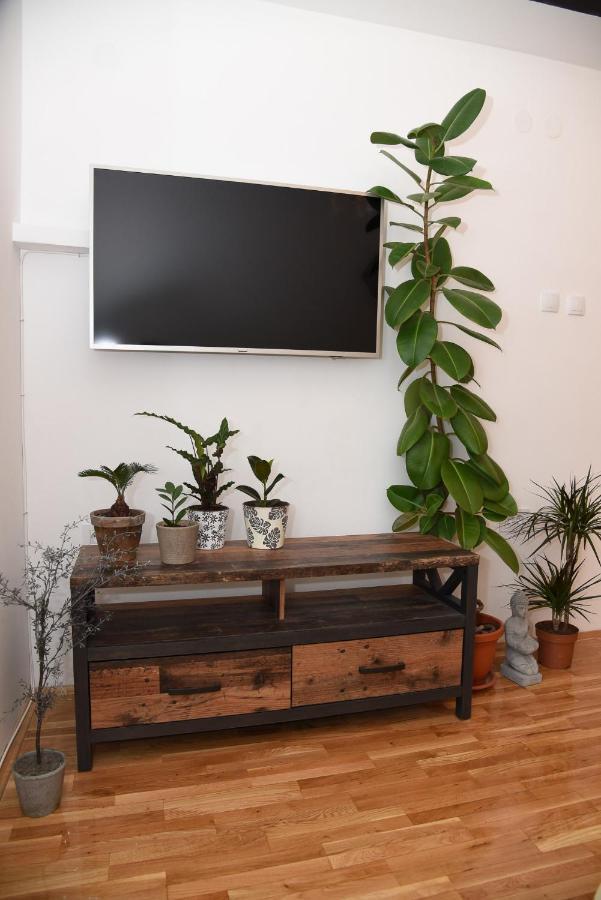 Garden Apartment - Oaza U Centru Grada Novi Sad Extérieur photo